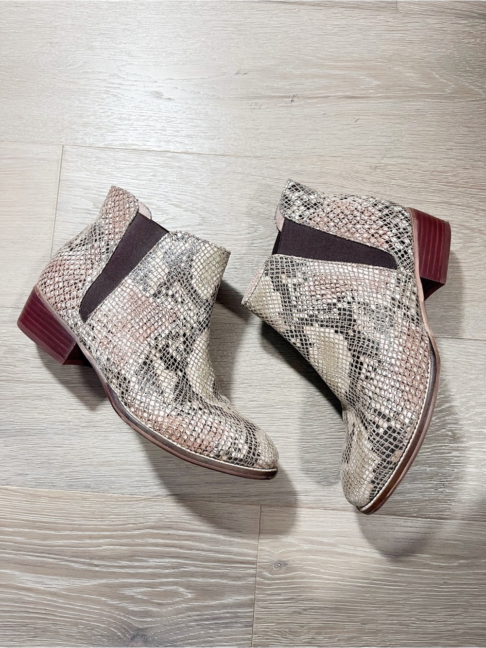 Seychelles Waiting For You Snakeskin Chelsea Boots 6
